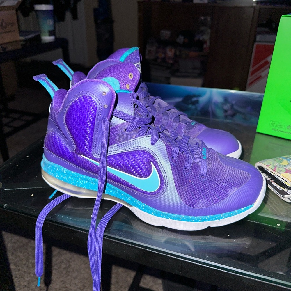 LeBron 9 Hornets